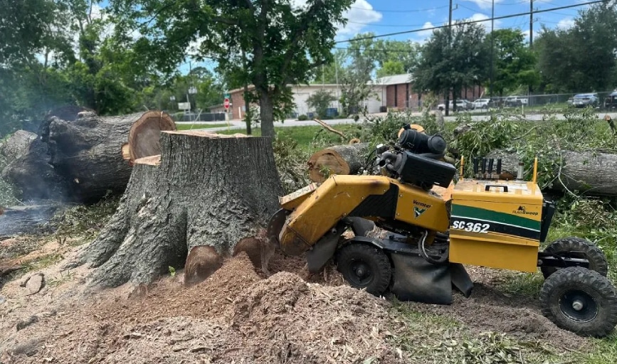 Merino Stump Grinding & Tree Removal