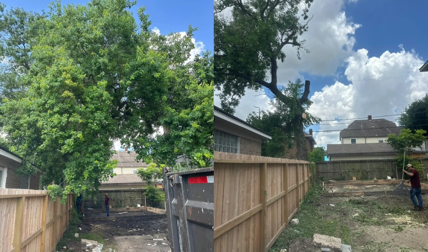 Merino Stump Grinding & Tree Removal