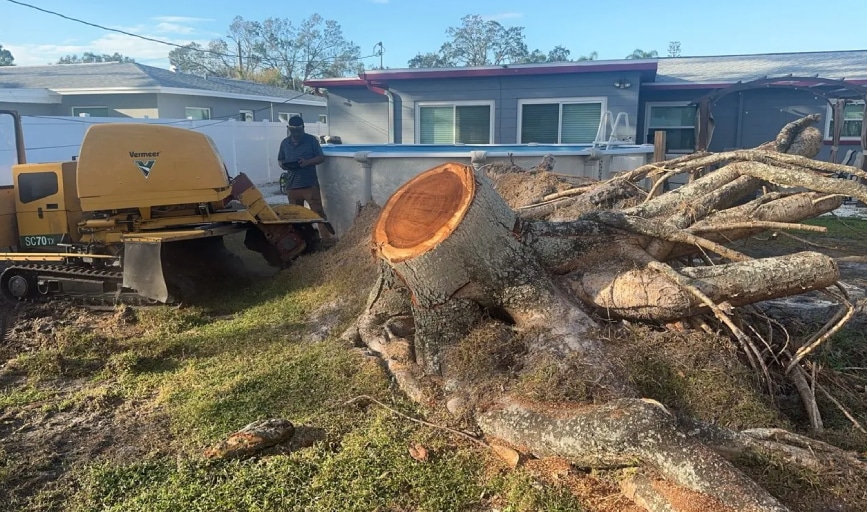Merino Stump Grinding & Tree Removal